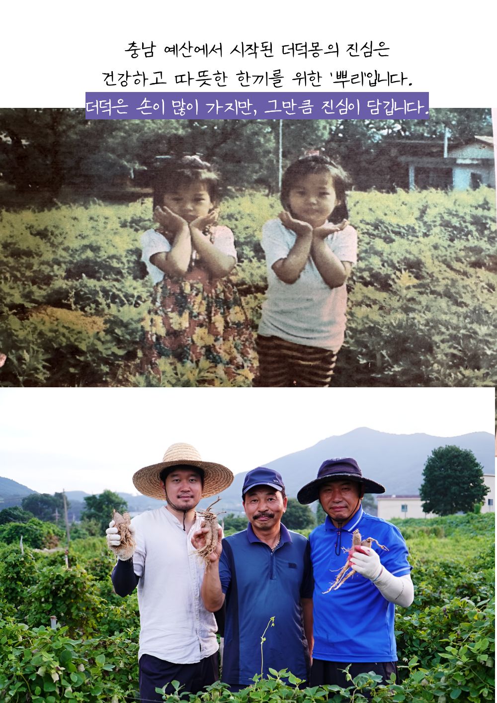 [답례품] 한입더덕정과 세트, 더덕몽