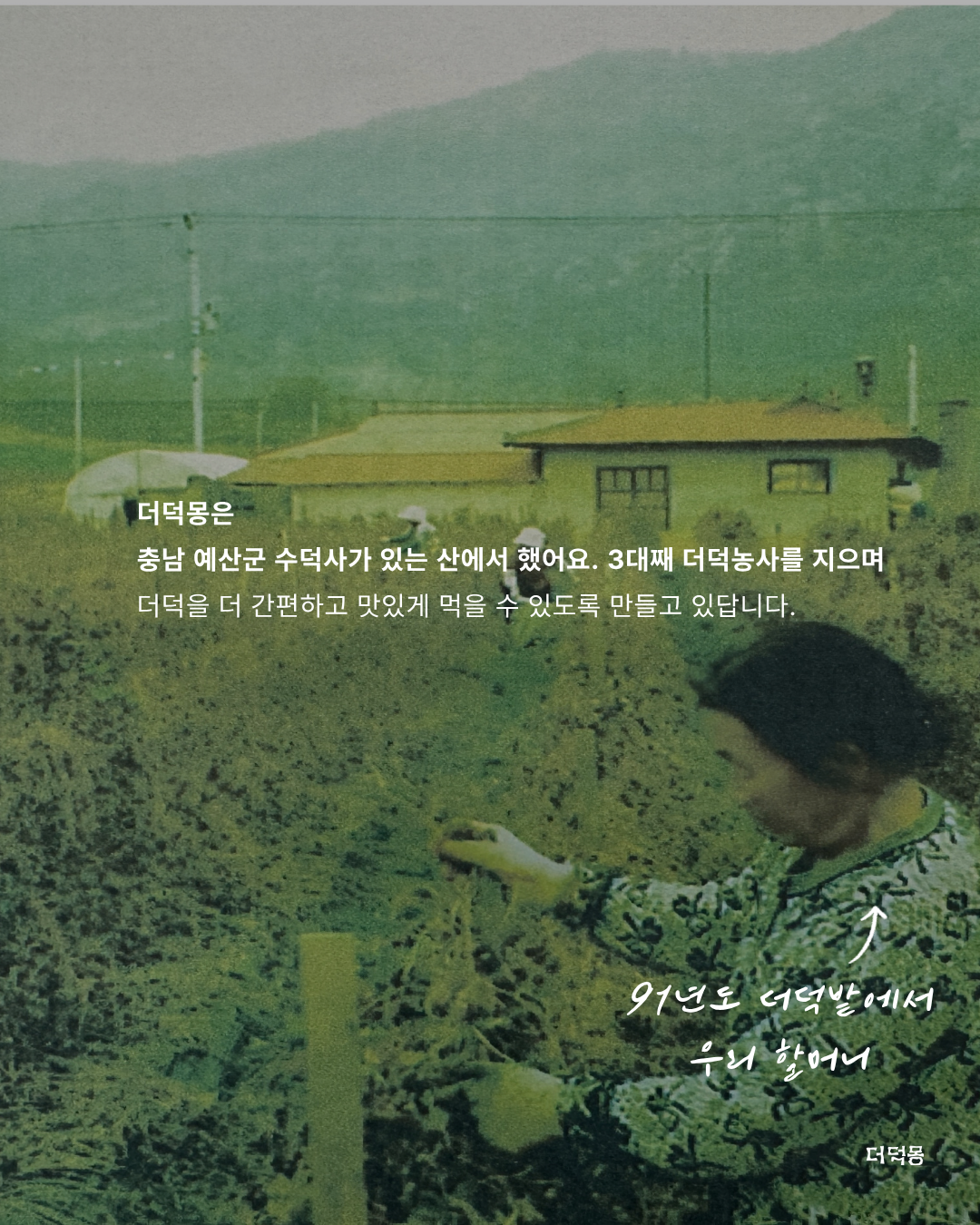 [농장직송]더덕구이 더덕무침 더덕몽 200g 3인분(400g 600g 1kg)