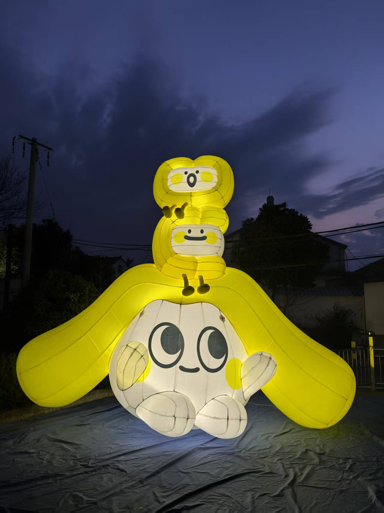 제품 사진