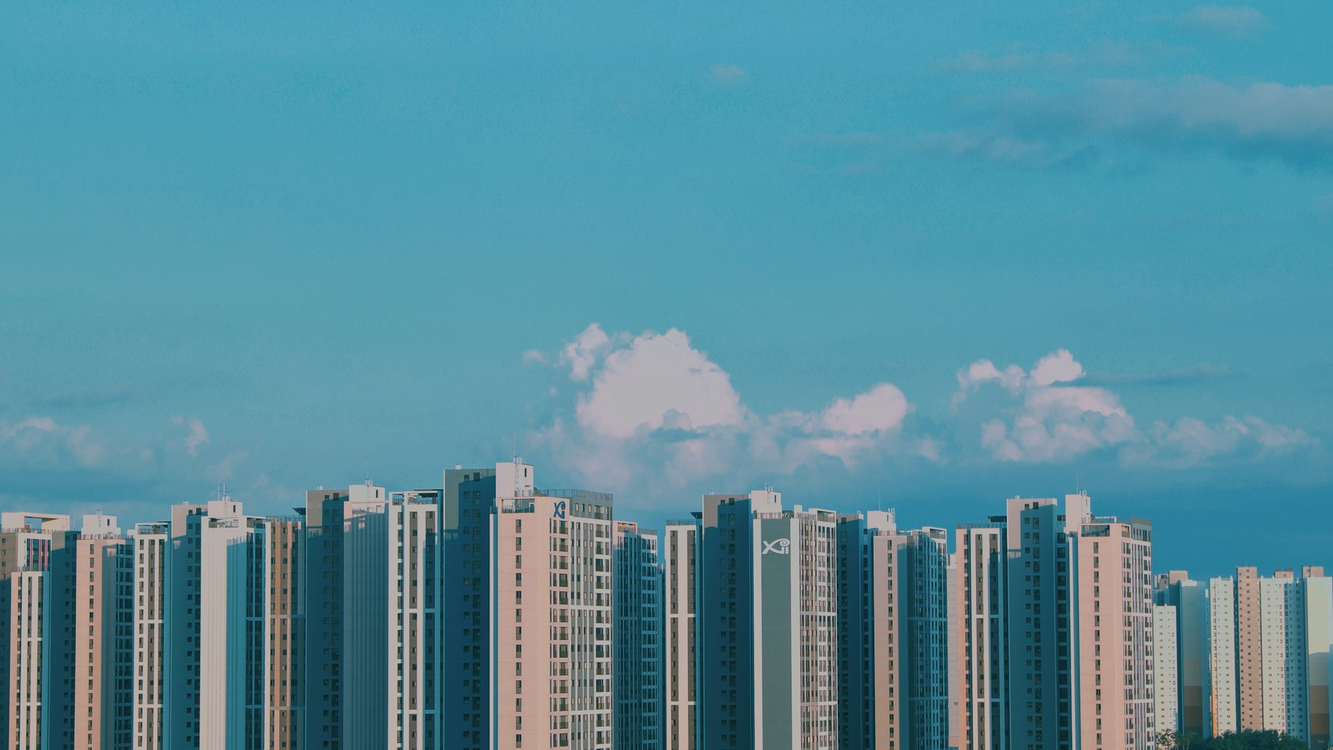 b396385bd2a05.jpg