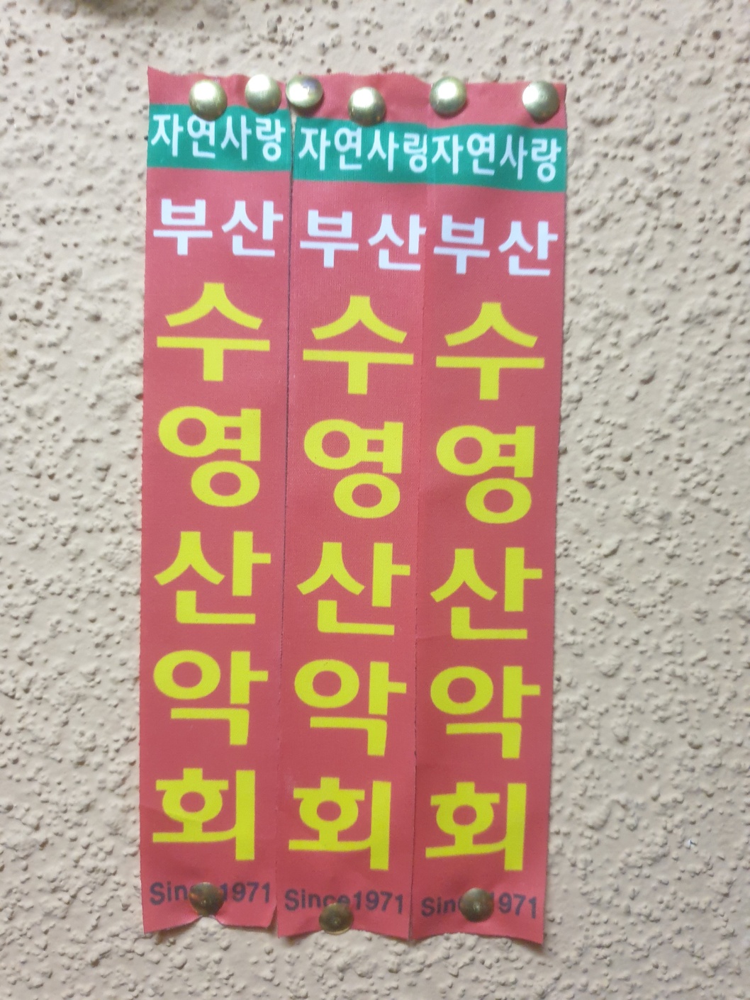 51c725a9715a2.jpg