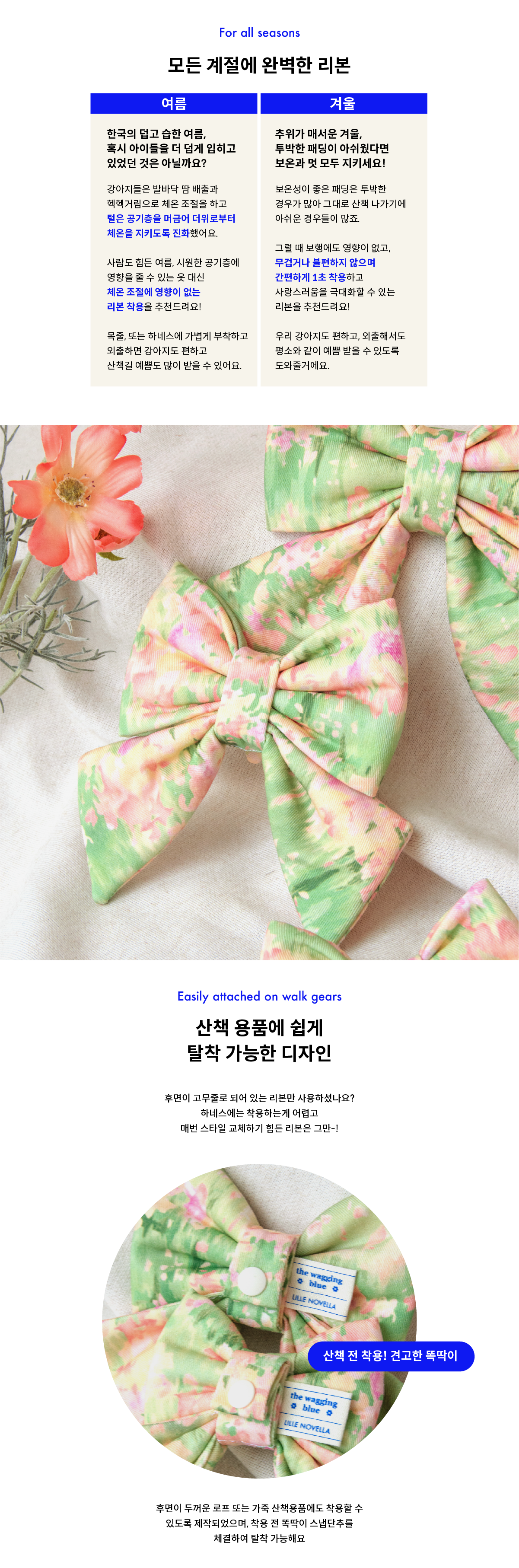 Sun Dance Ribbon