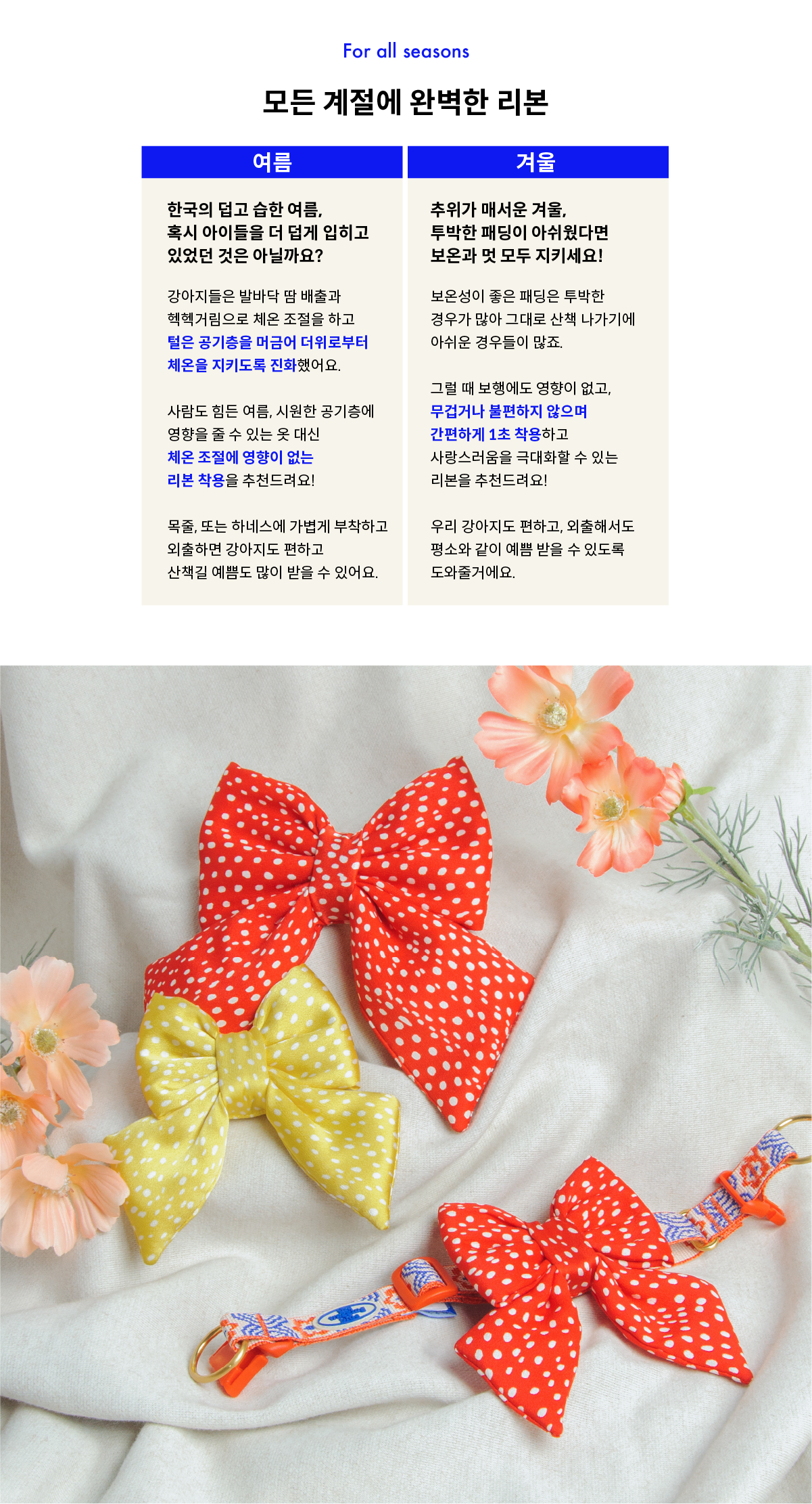 Jolly Dotty Ribbon