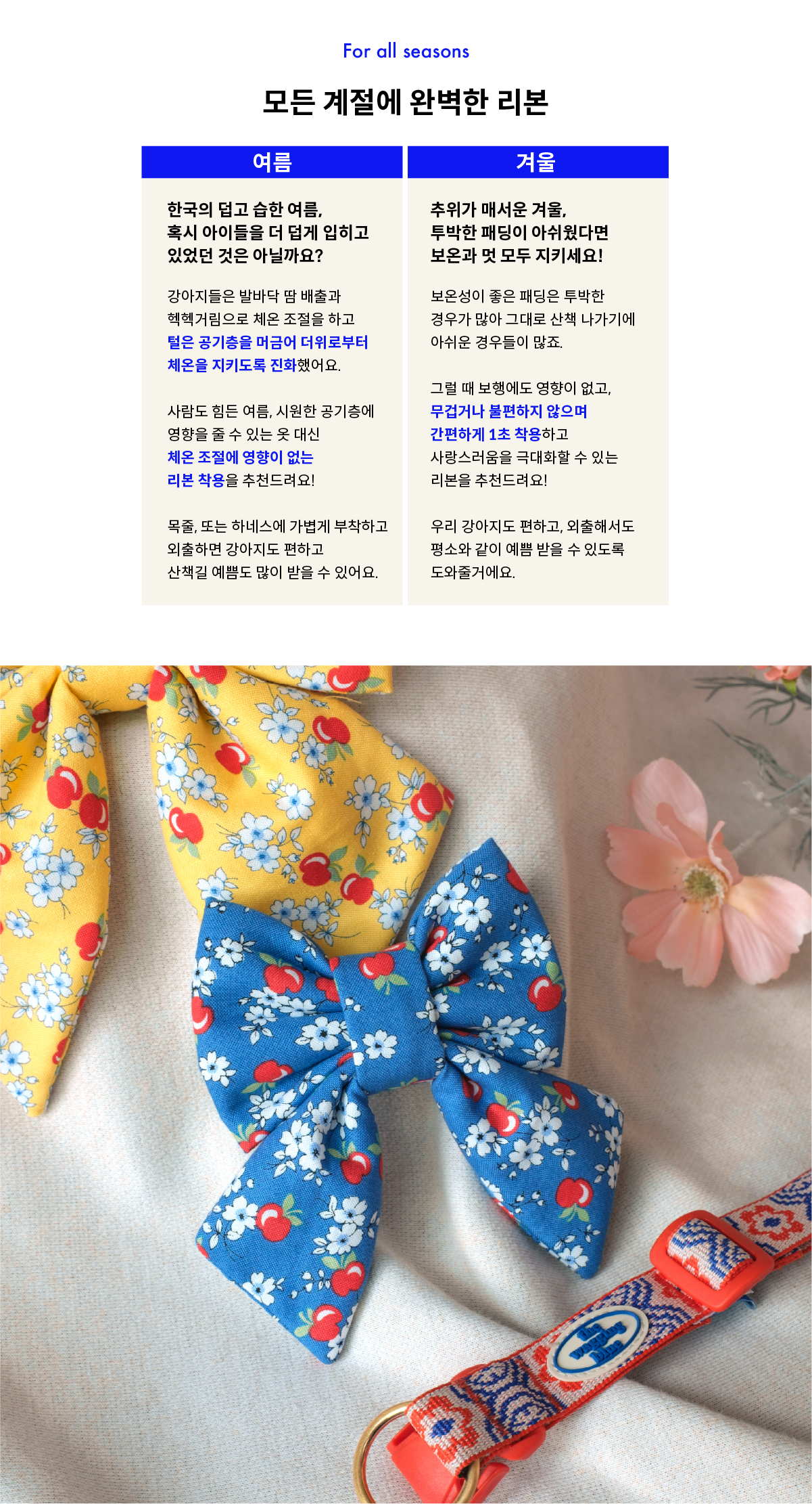 Fable Ribbon