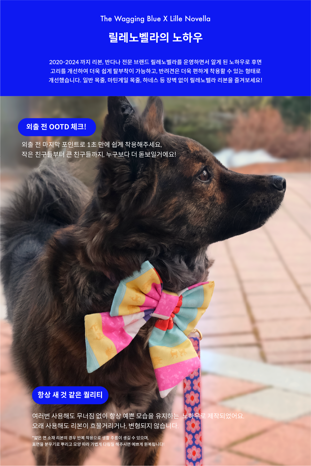 Saekdong Ribbon (색동)