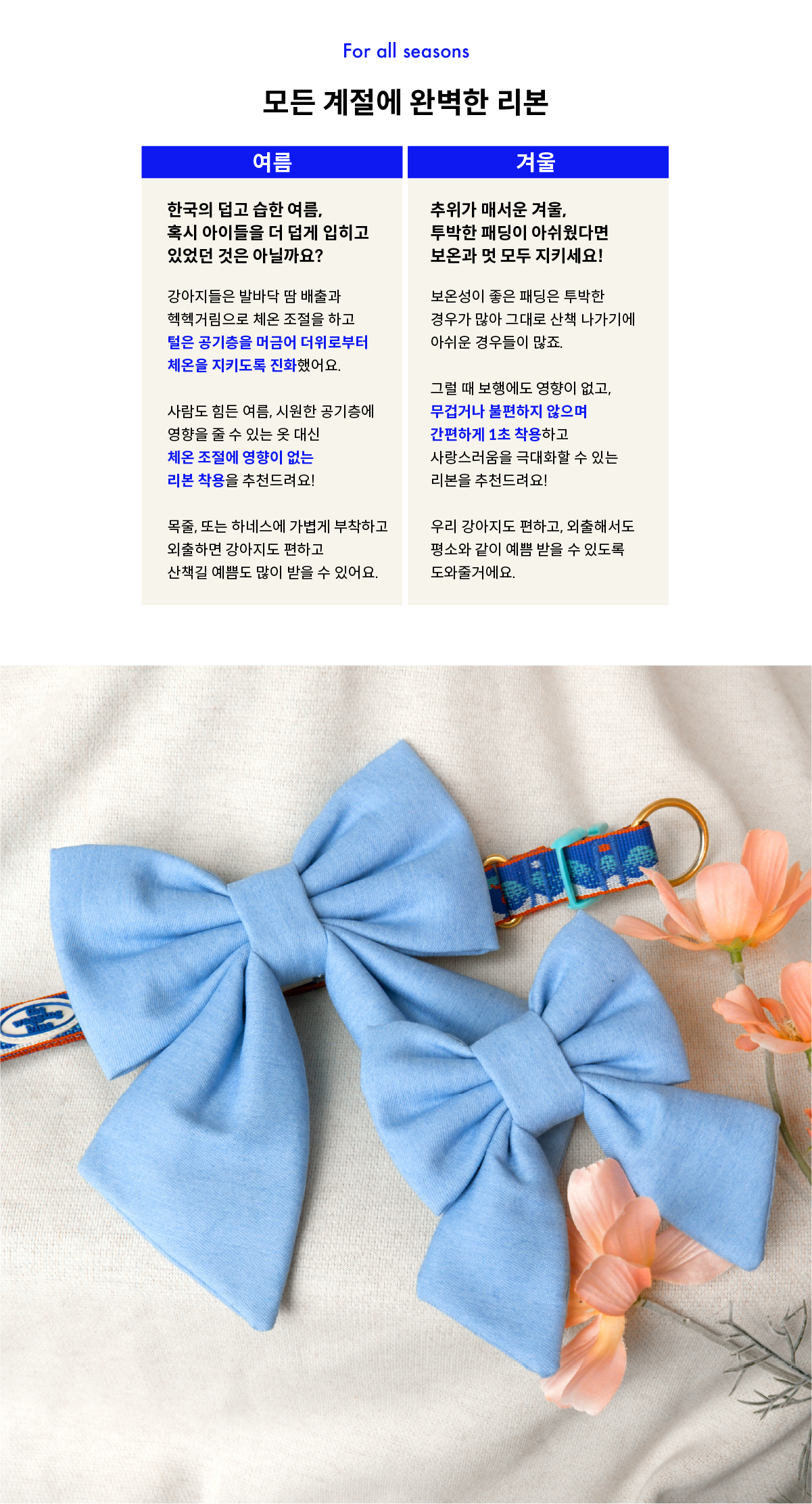 Skyblue Ribbon