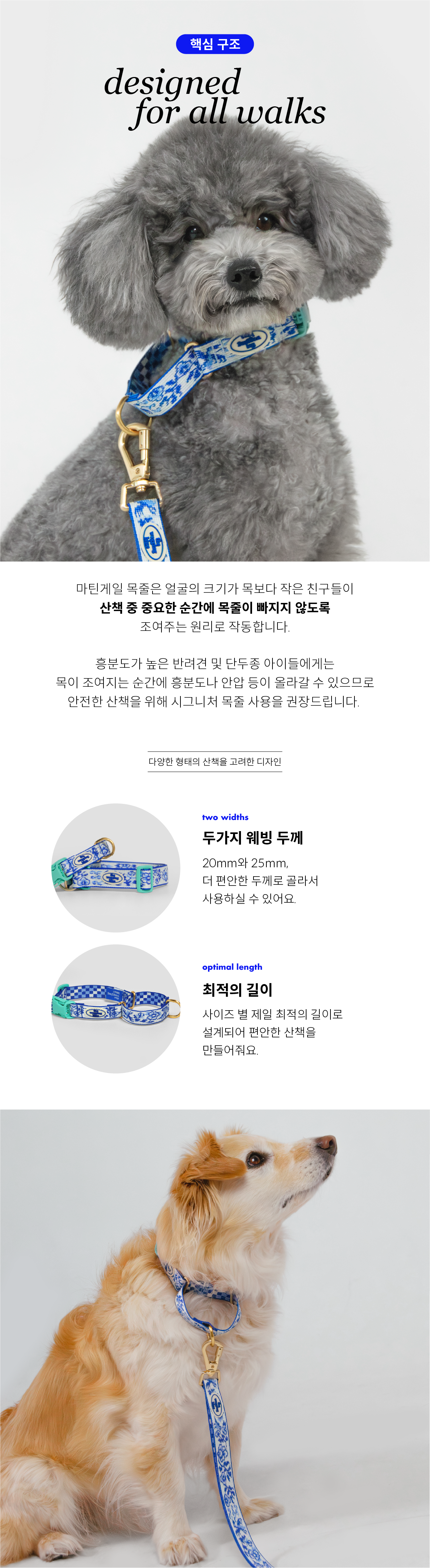 청화백자 마틴게일목줄(Blue Birds)