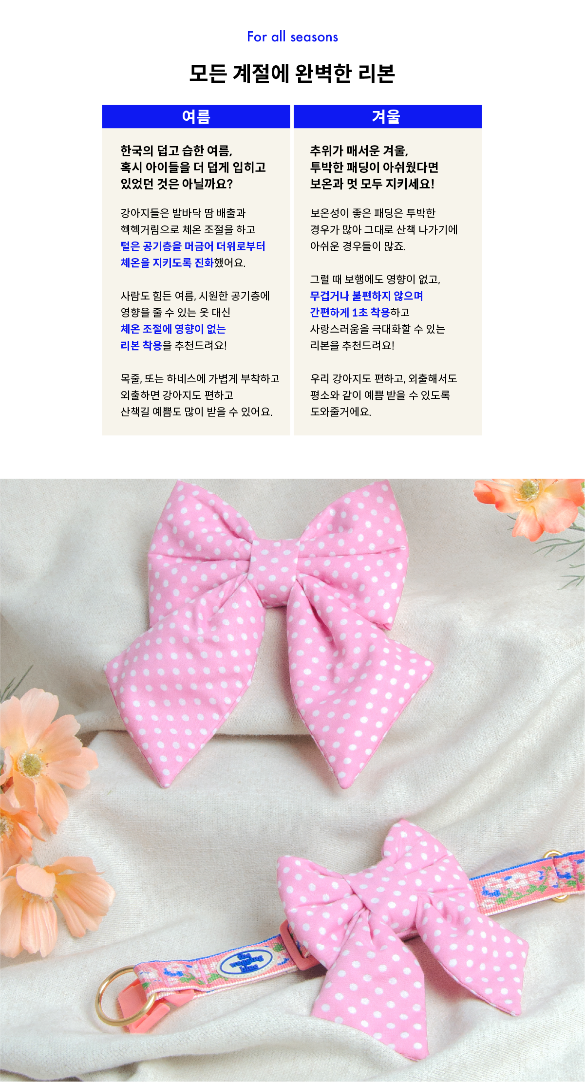 Mellow Dotty Ribbon
