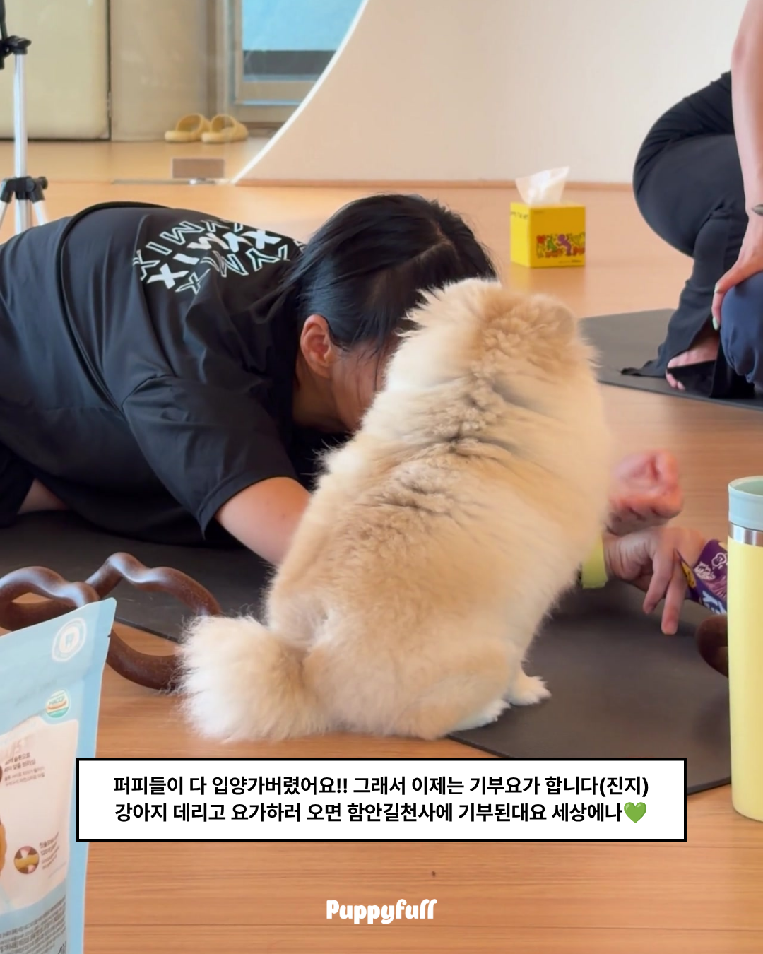 [9/13] 반려견동반 기부요가
