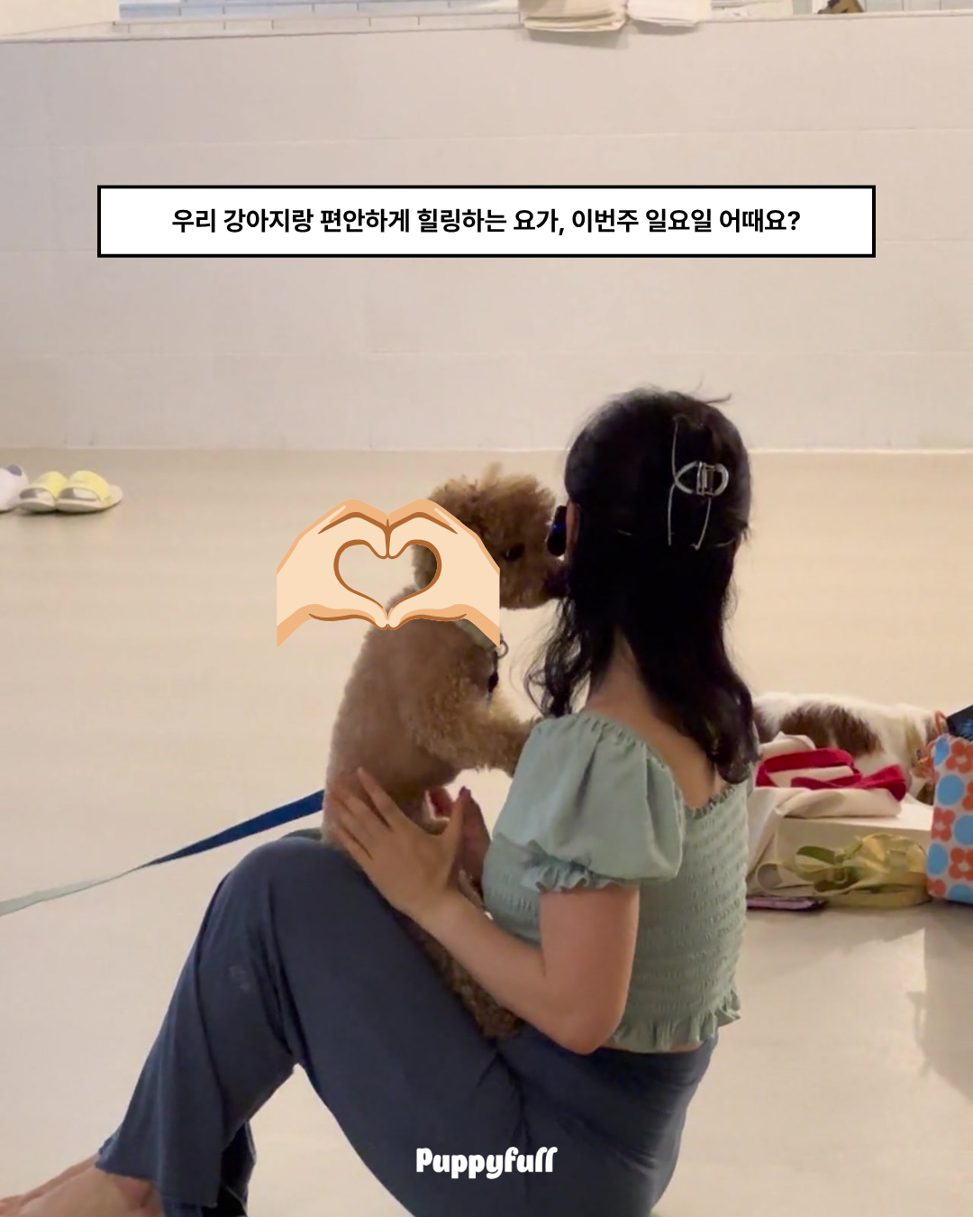 [9/13] 반려견동반 기부요가