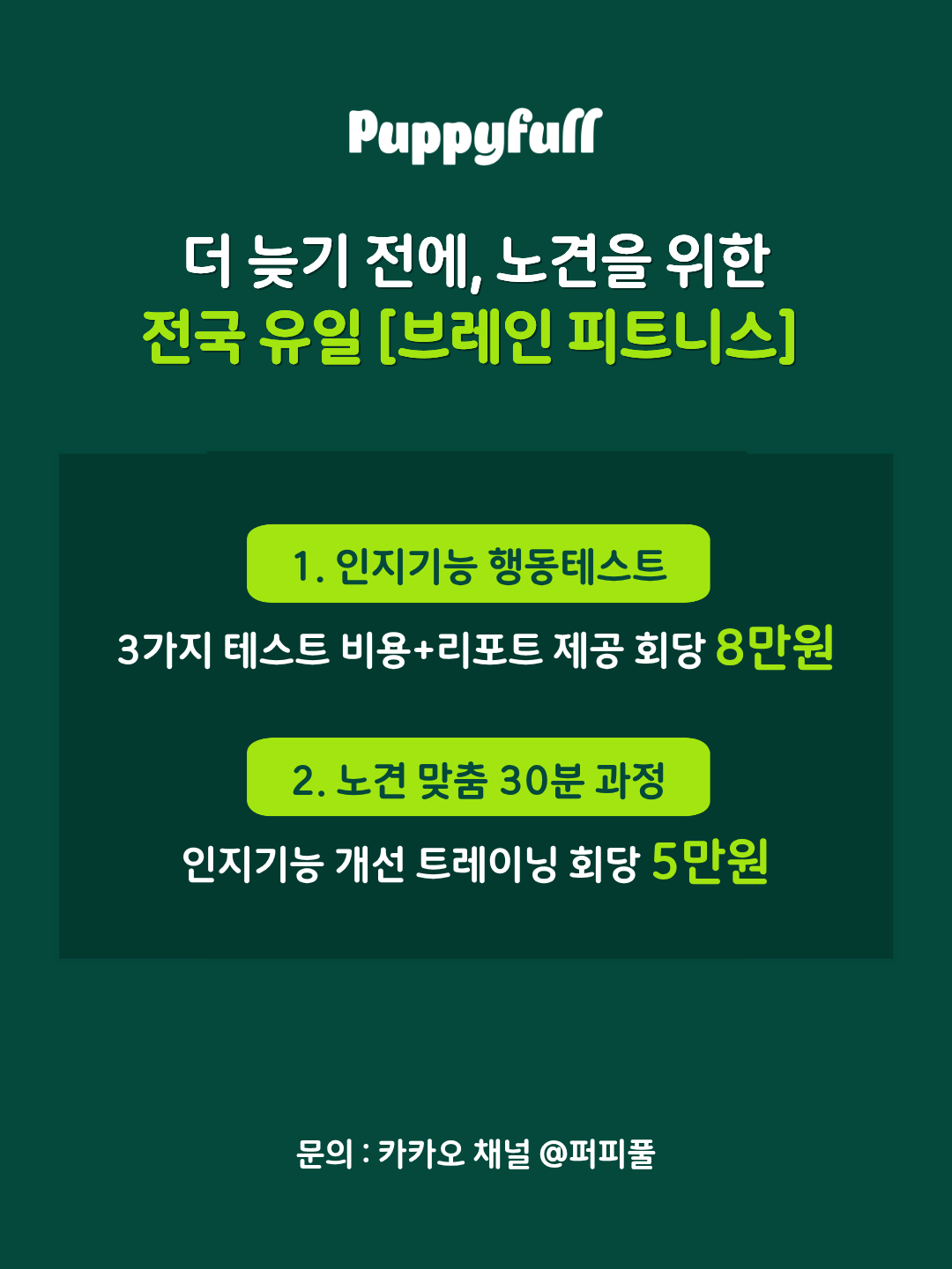브레인 피트니스