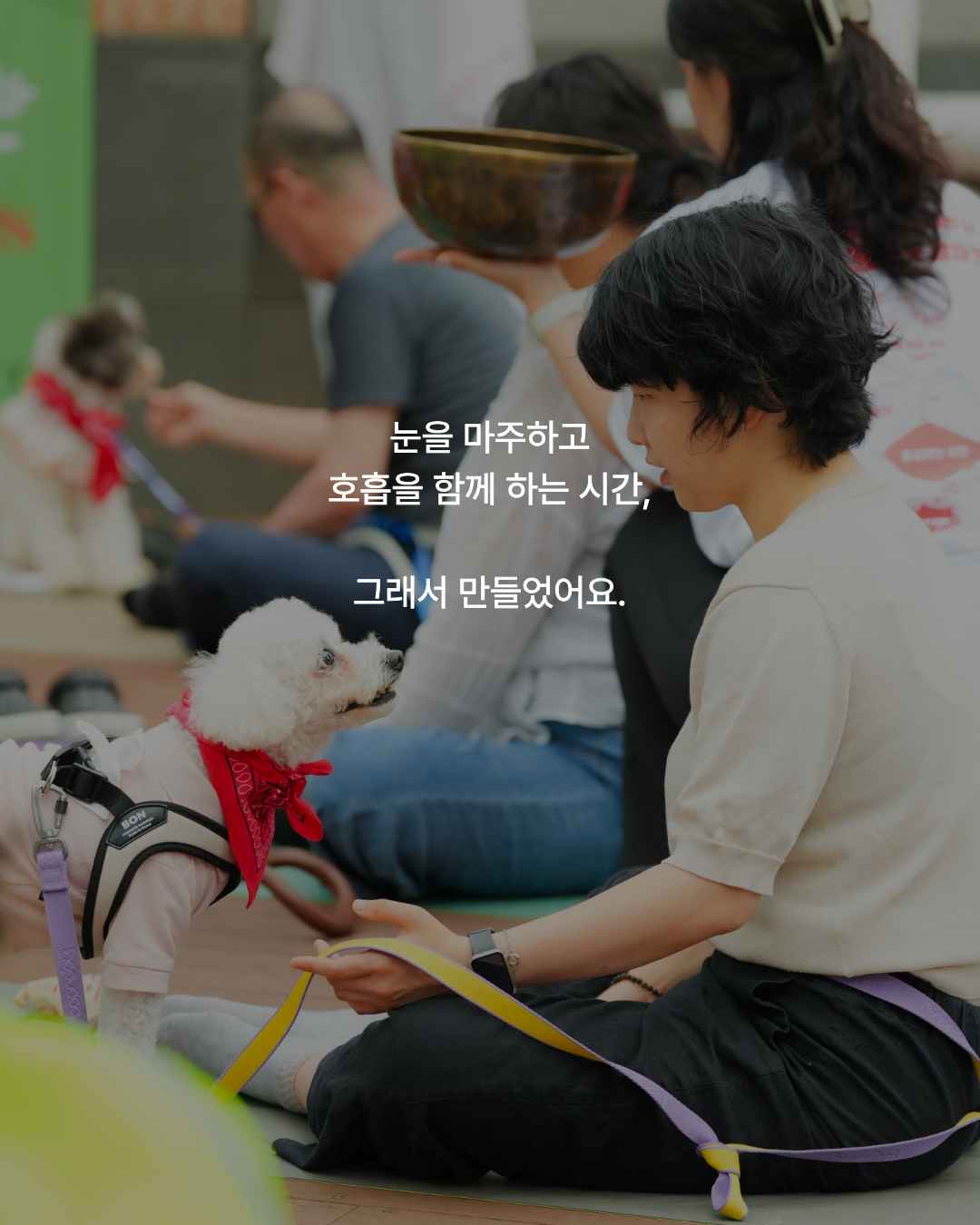 임보견 퍼피요가 '잇-다' 1기 리트릿