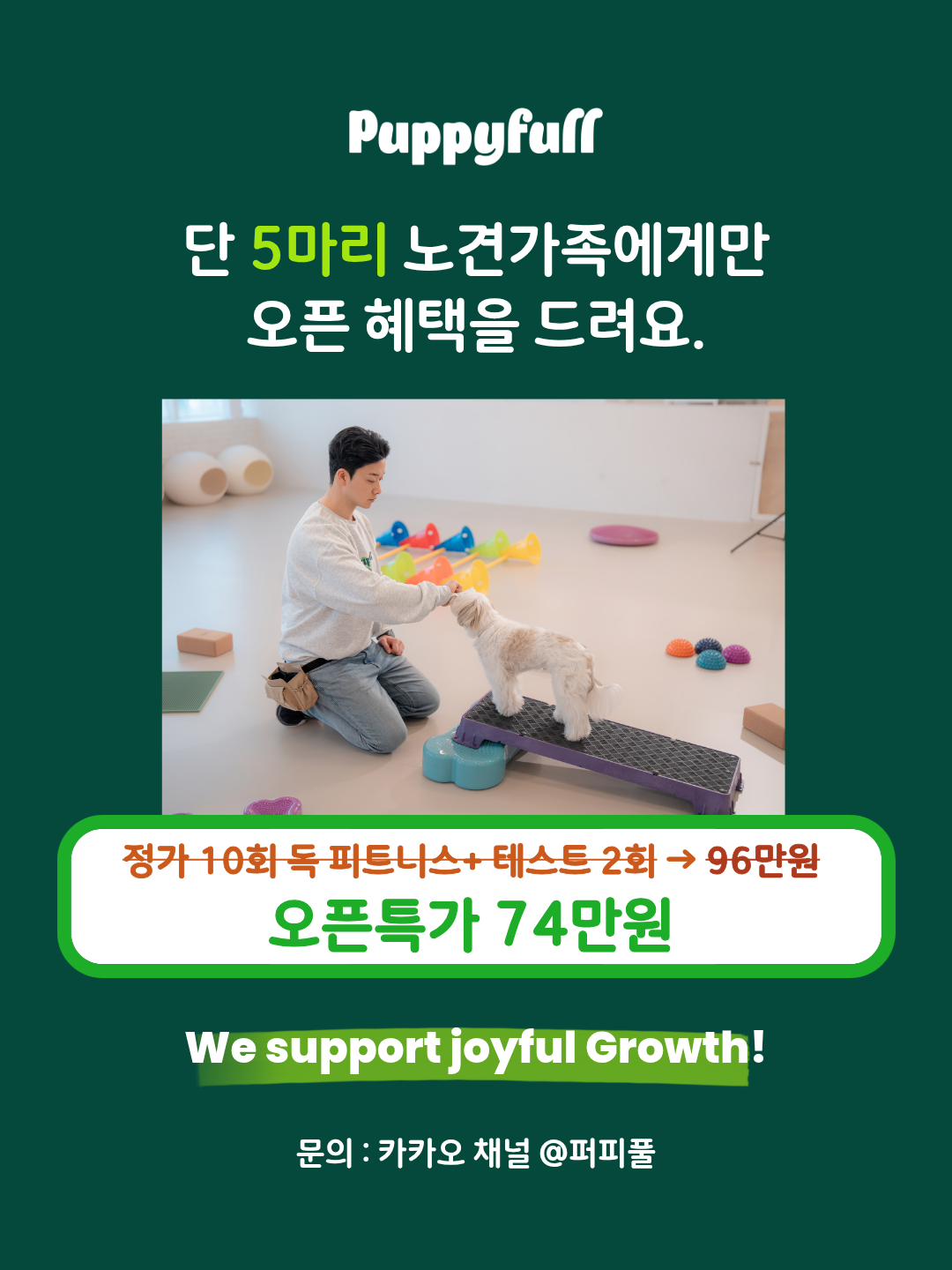 브레인 피트니스