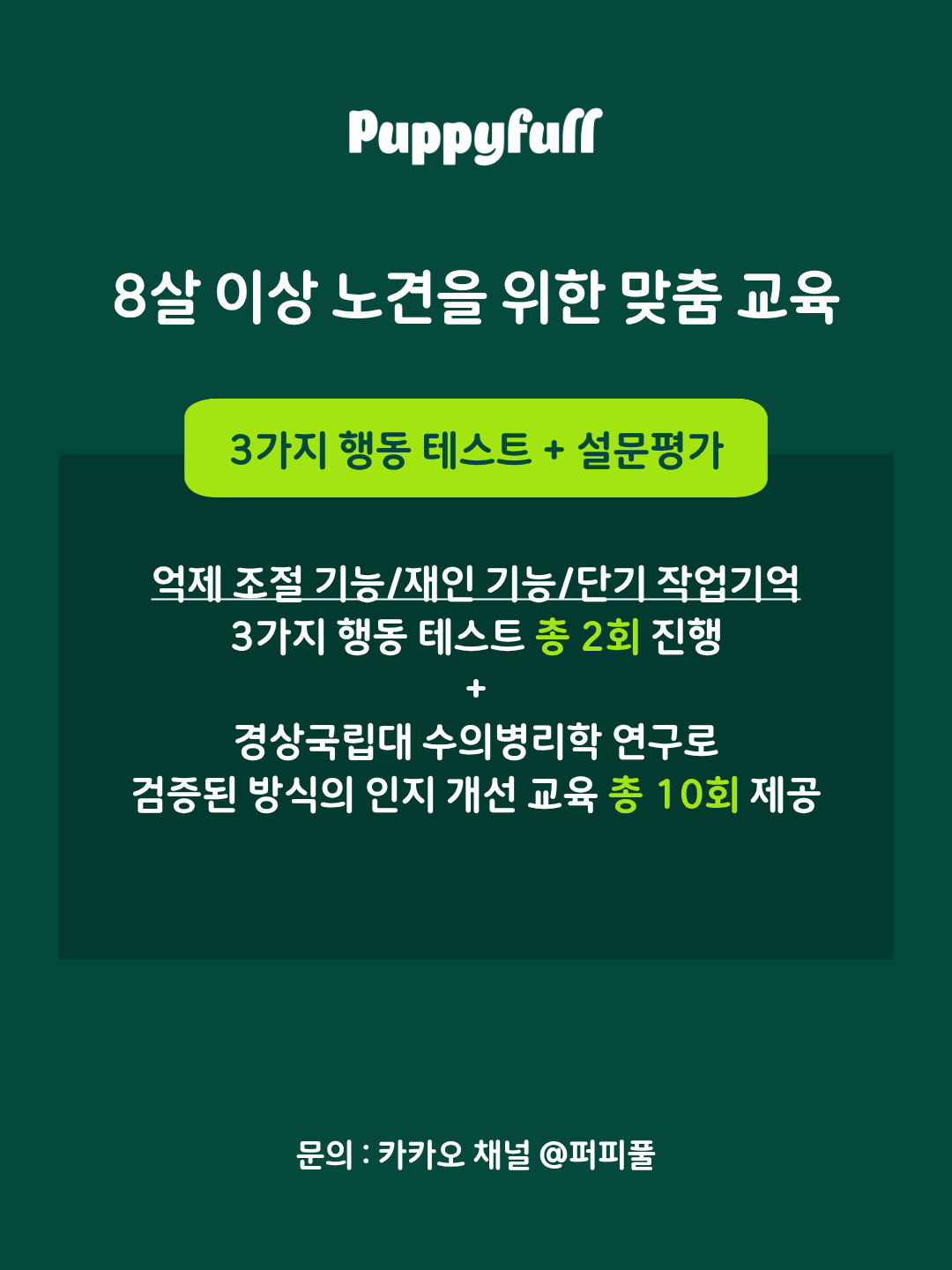 브레인 피트니스