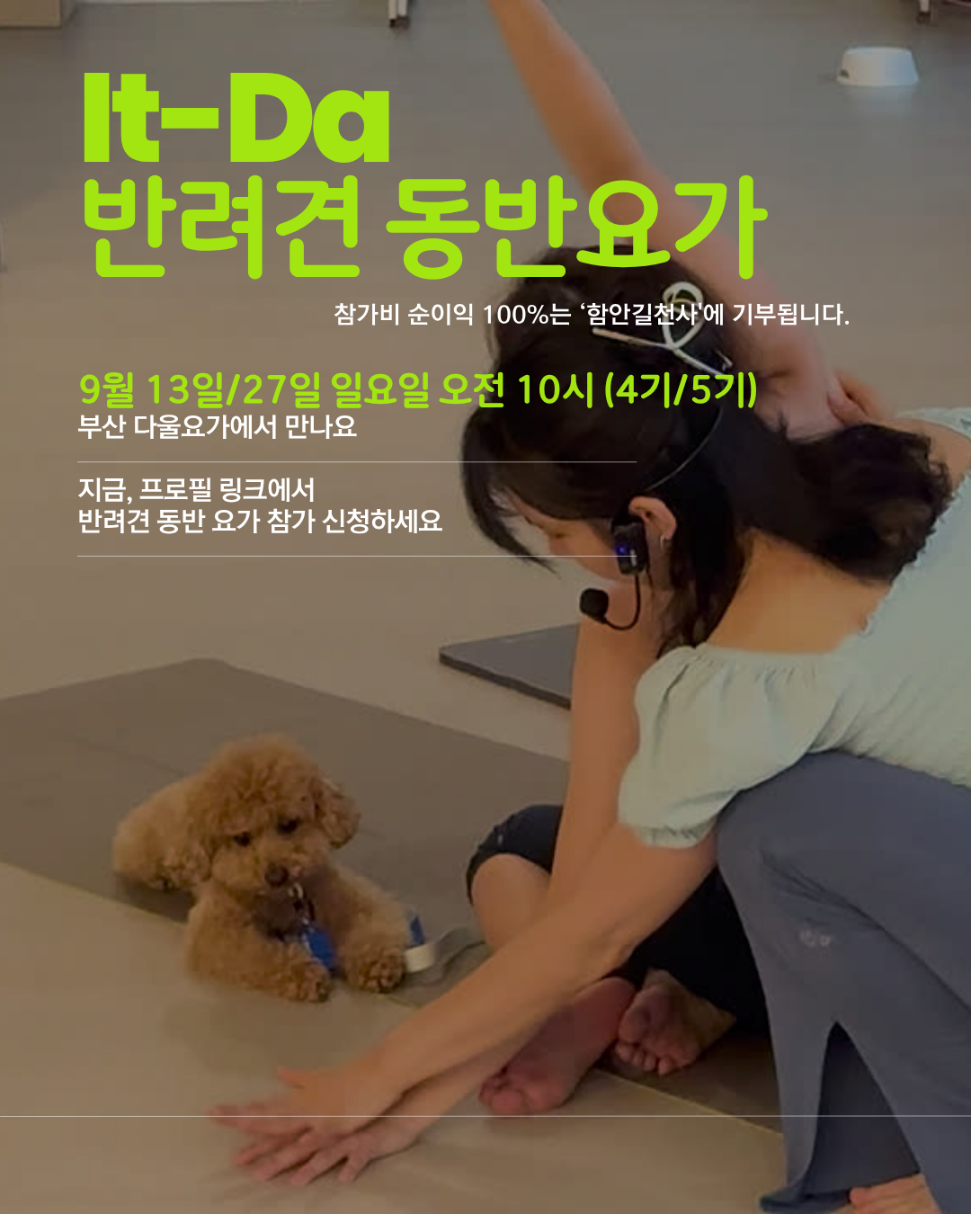 [9/13] 반려견동반 기부요가