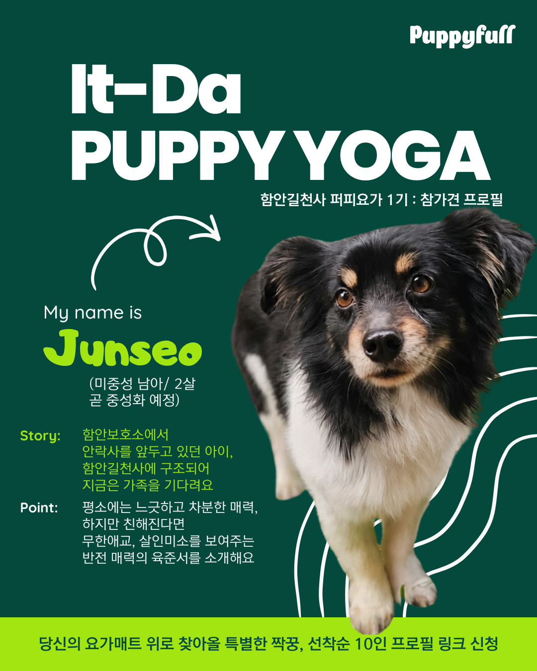 [함안길천사] 유기견 기부 퍼피요가 '잇-다' 1기