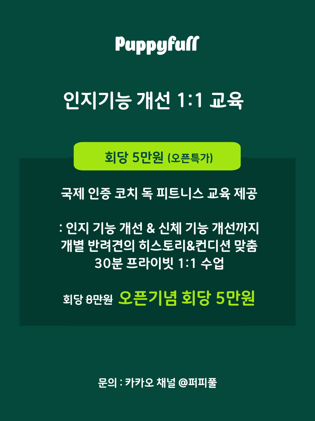 브레인 피트니스