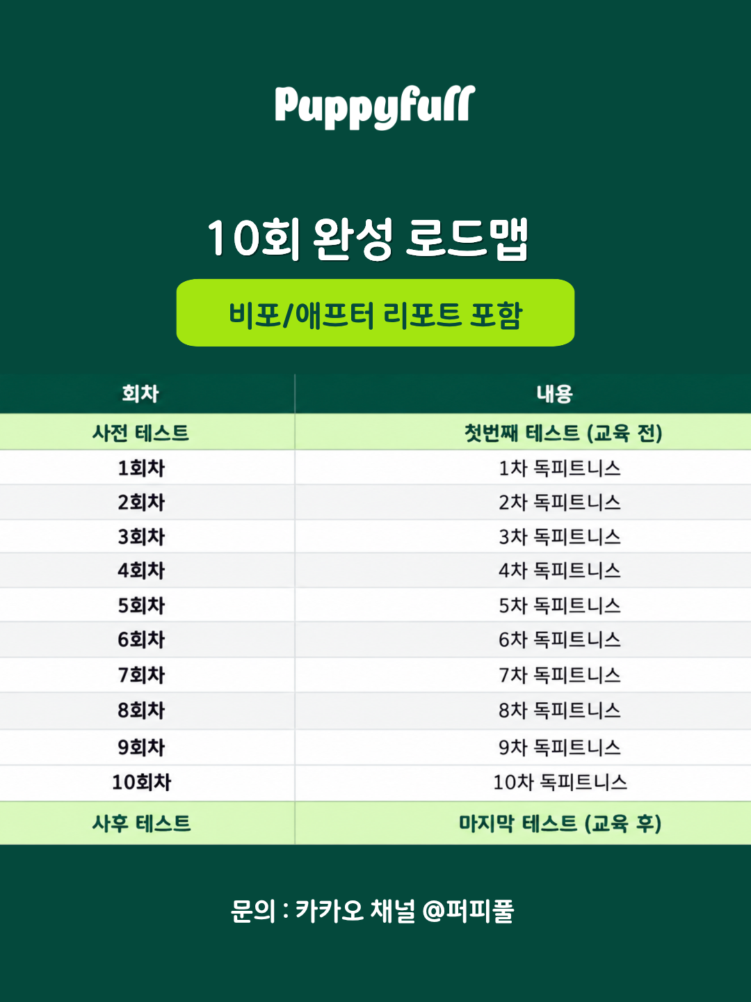 브레인 피트니스