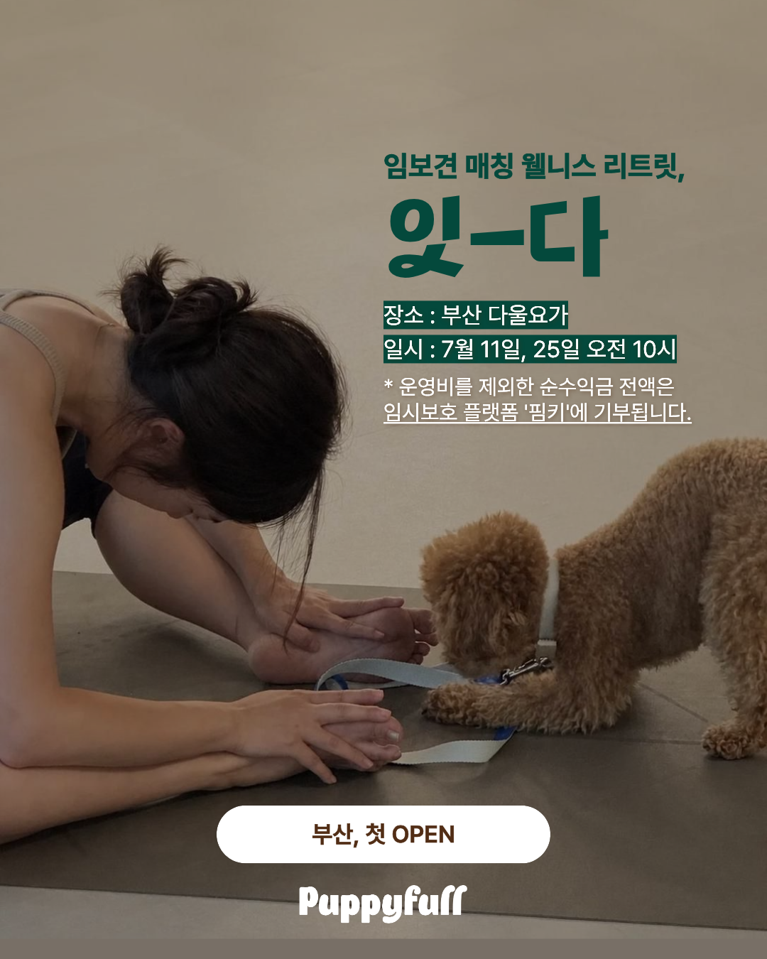 임보견 퍼피요가 '잇-다' 1기 리트릿