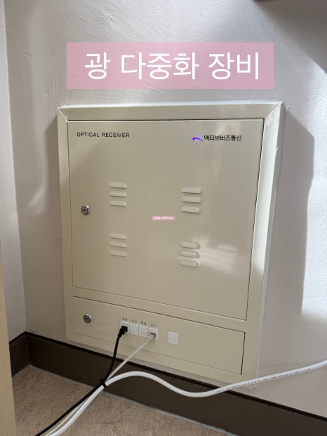 c64f1f56cd607.jpeg