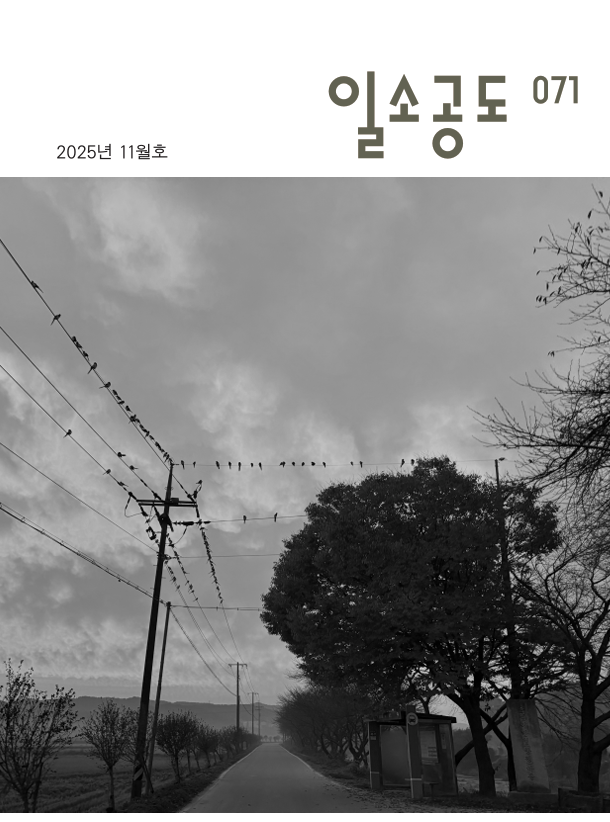cd2feb853c221.png