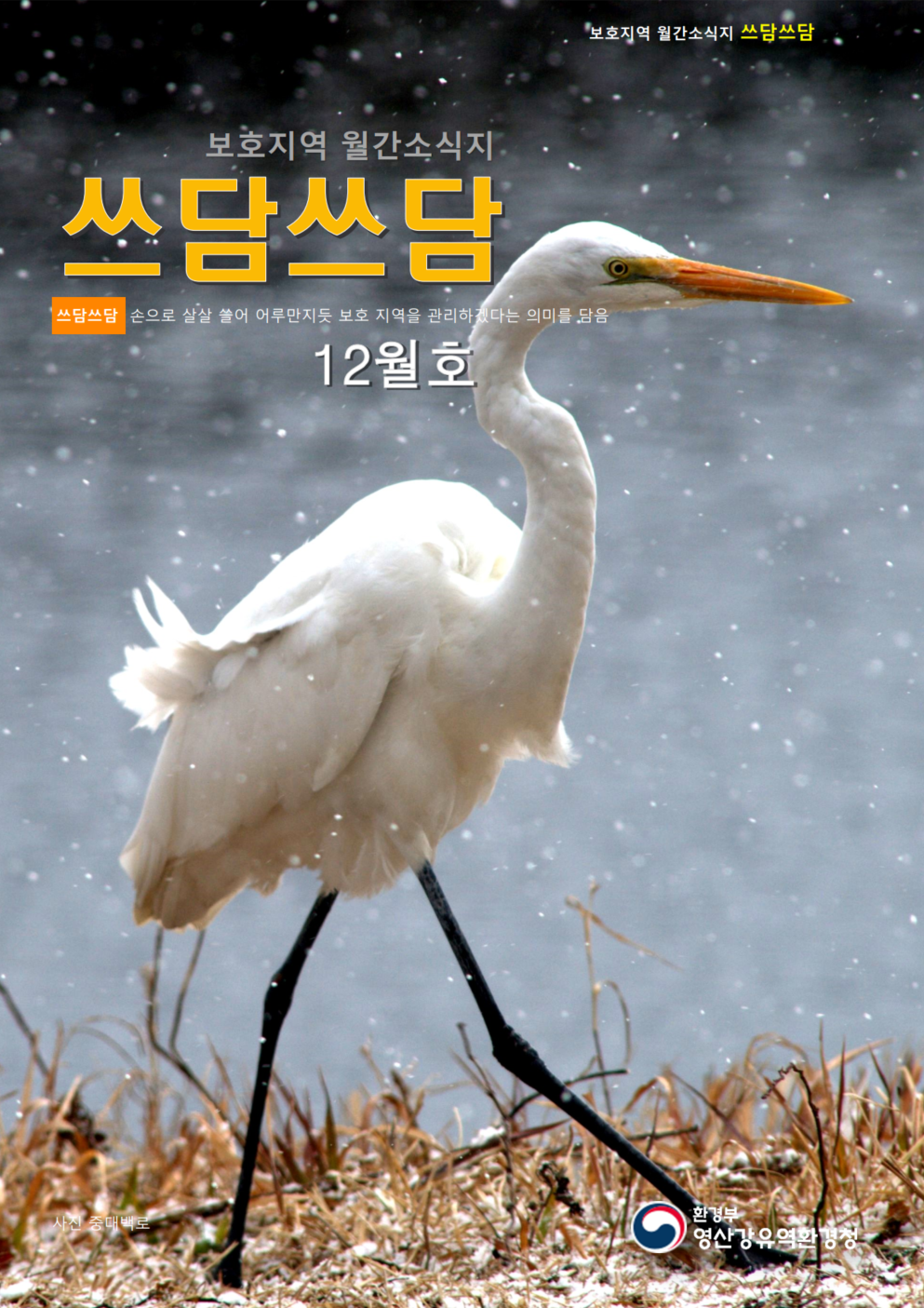d42bb6eccb066.png