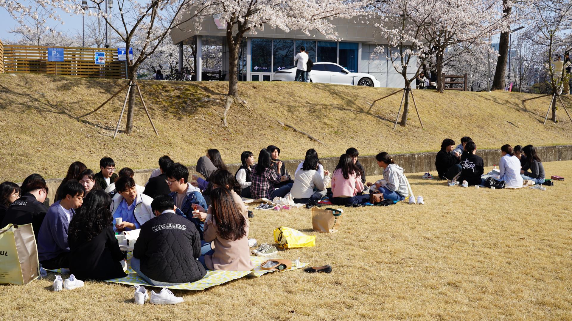 b874169ea64d2.jpg