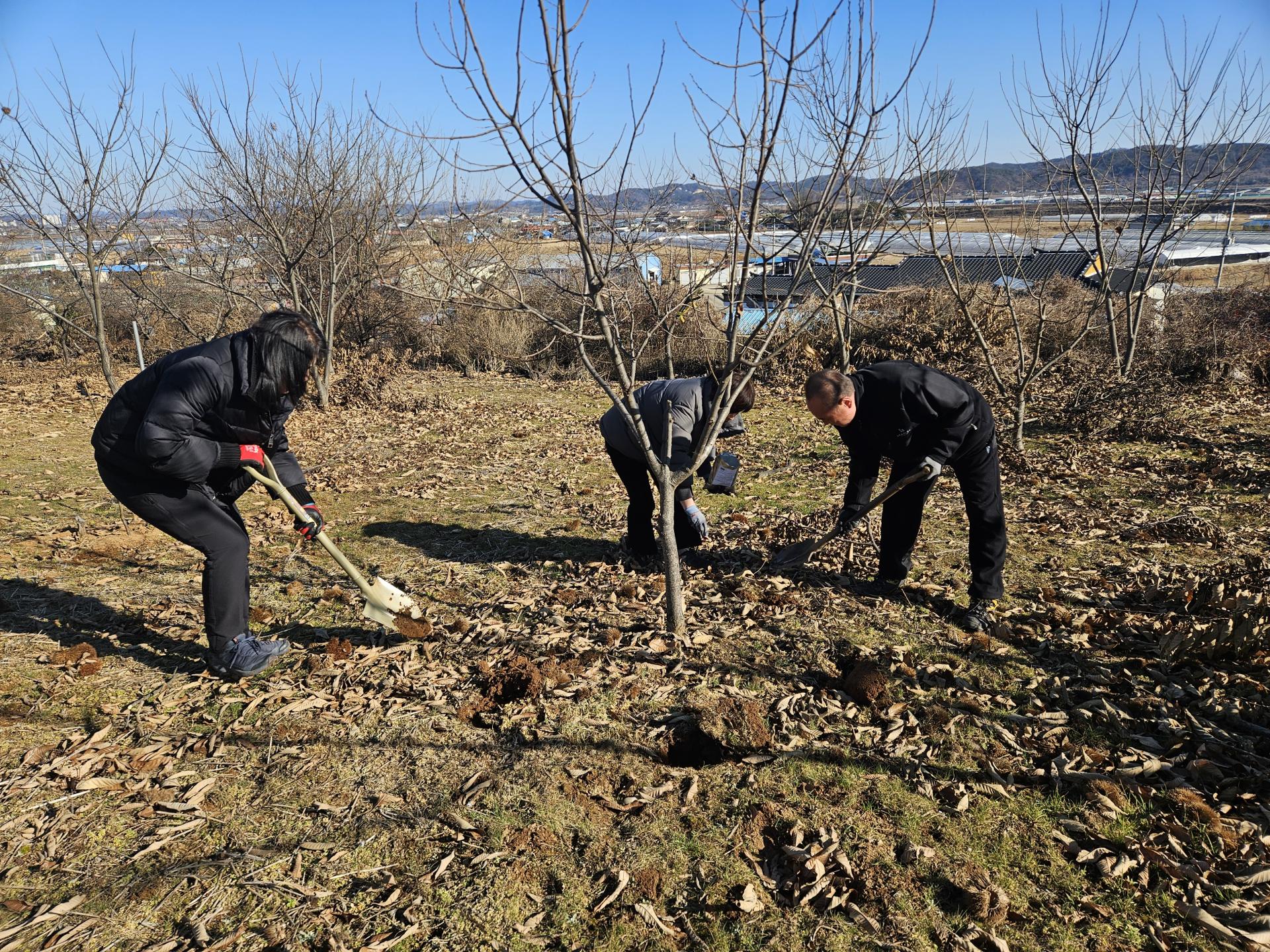 502eab50e2798.jpg