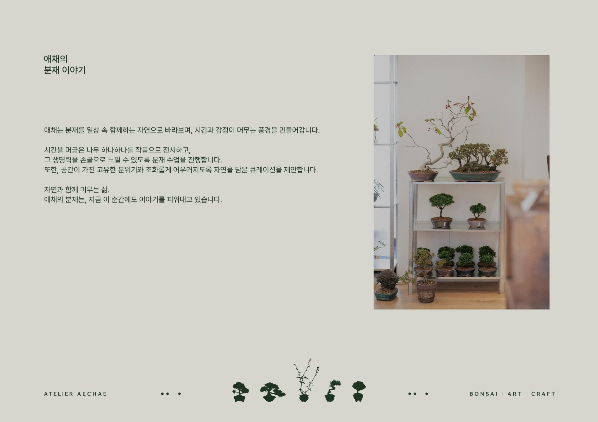 [1-Day] 애채 일일 분재 수업 (1회)