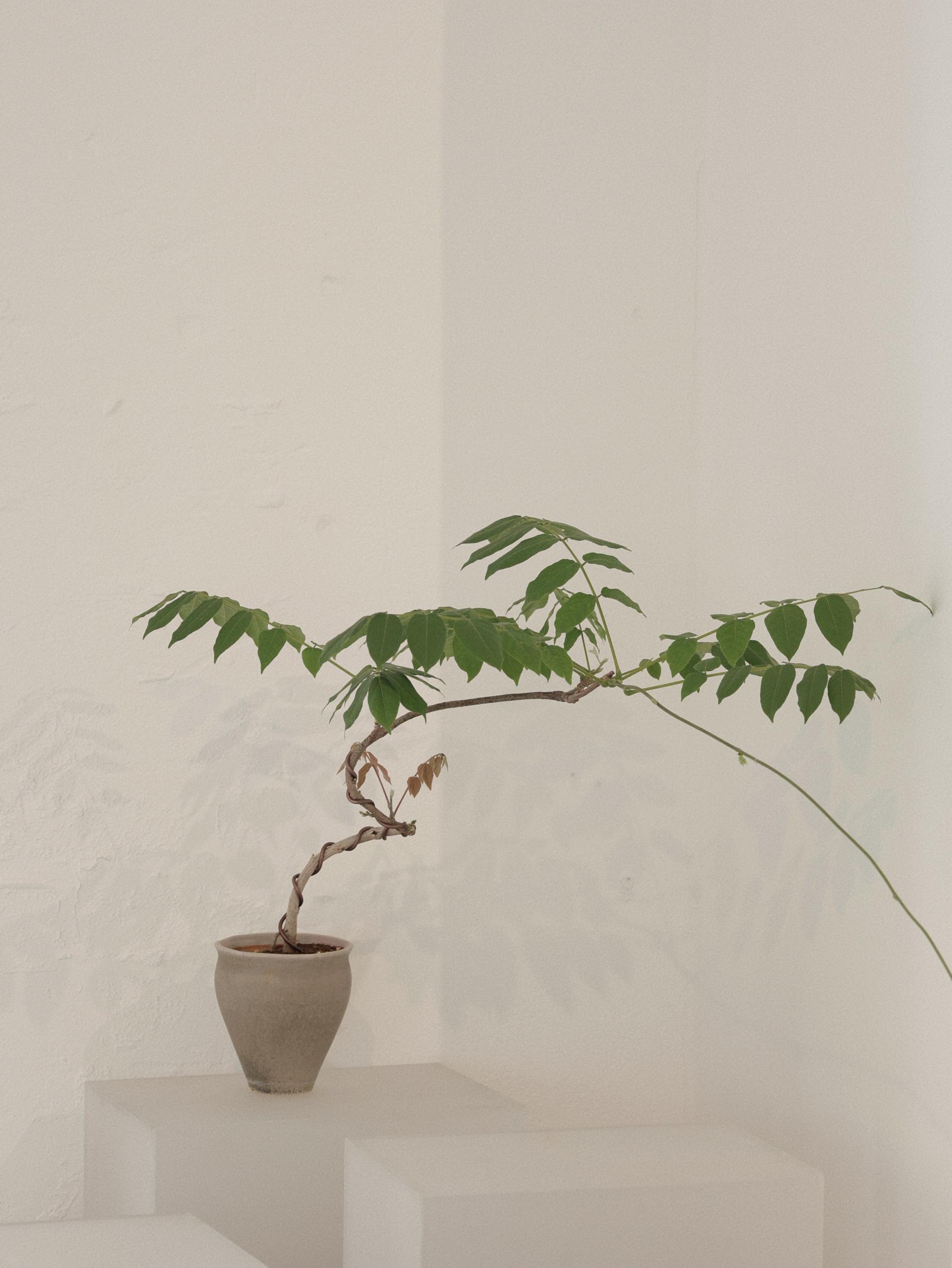 실남천