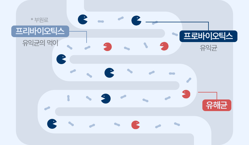 장까지 살아가는 유산균 관련 내용을 시각적으로 설명한 상세페이지 구간