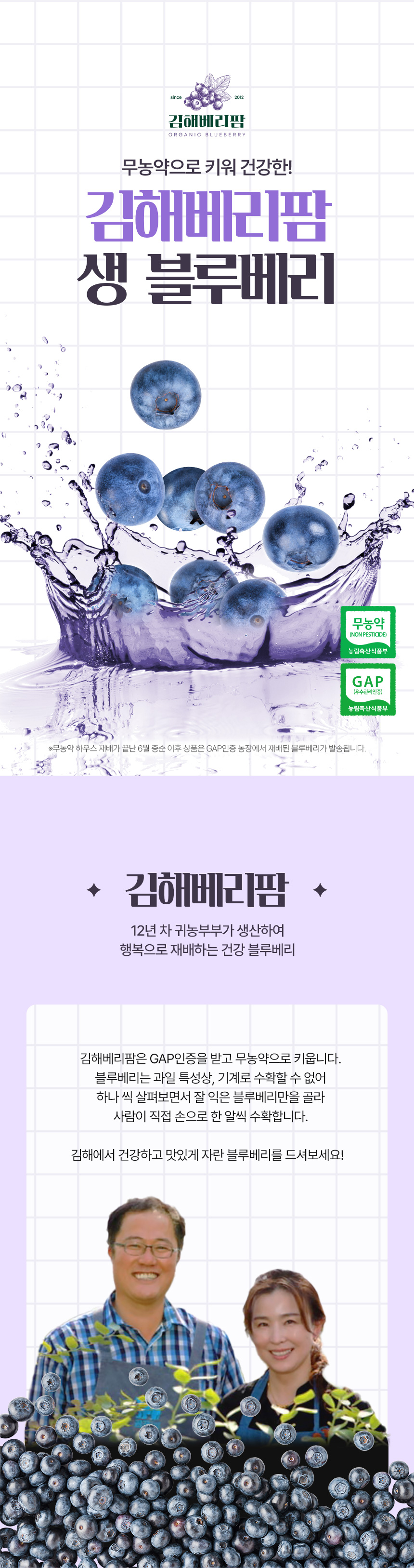 김해베리팜 생 블루베리 농산물 상세페이지 제작 포트폴리오
