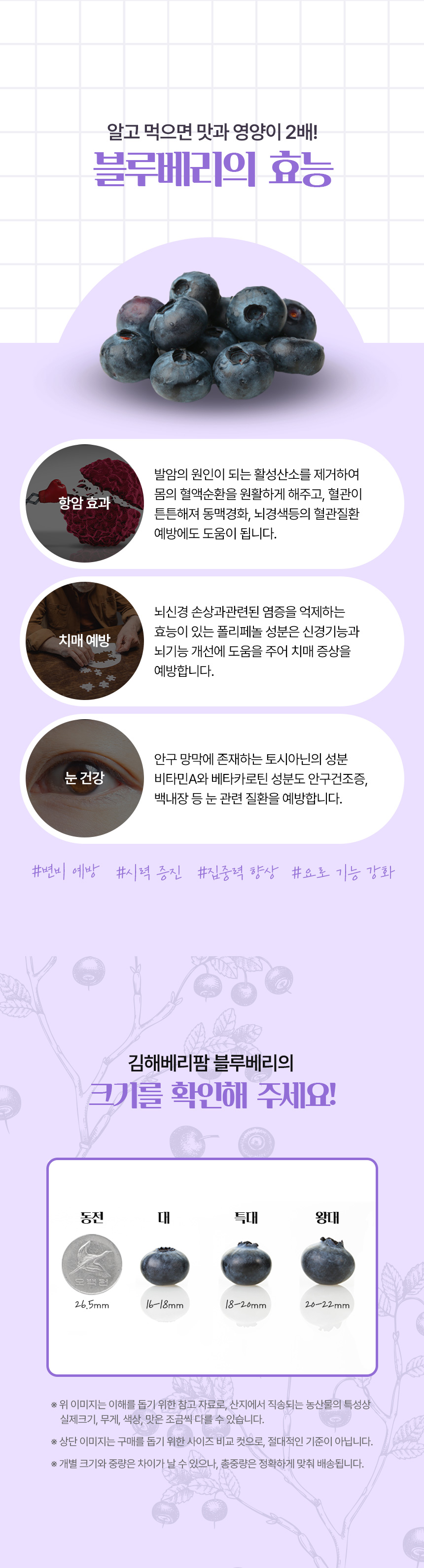 연보라 톤 배경 위에 김해베리팜 생 블루베리 원물과 제품명을 배치한 상세페이지 상단 디자인
