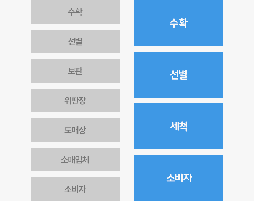 홍가리비를 조리한 이미지를 활용해 맛과 활용도를 보여주는 상세페이지 중간 구간