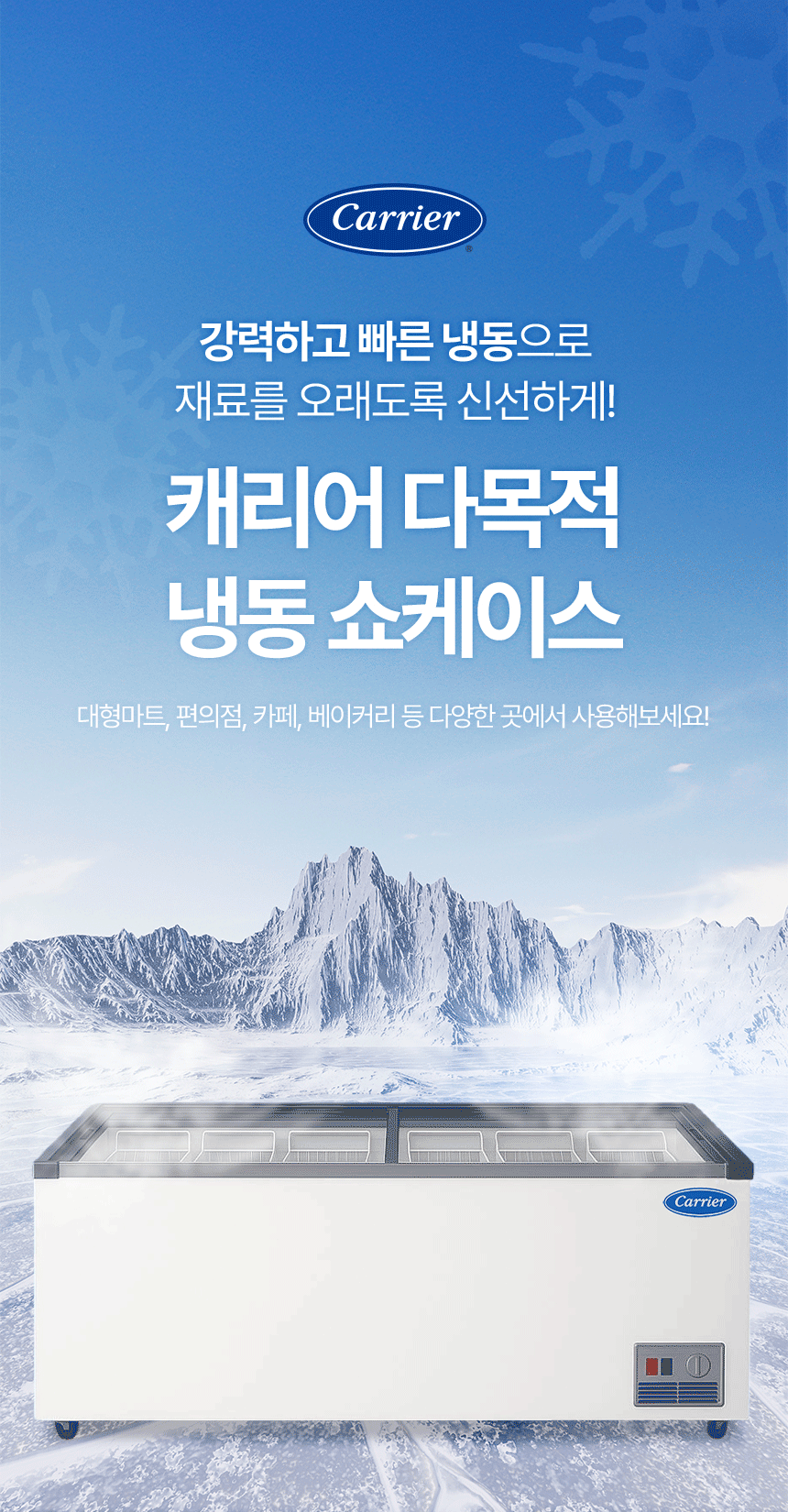 업소용 냉동 쇼케이스 포트폴리오 | 아이스크림 할인점에서 사용하는 냉동고 구성 콘텐츠