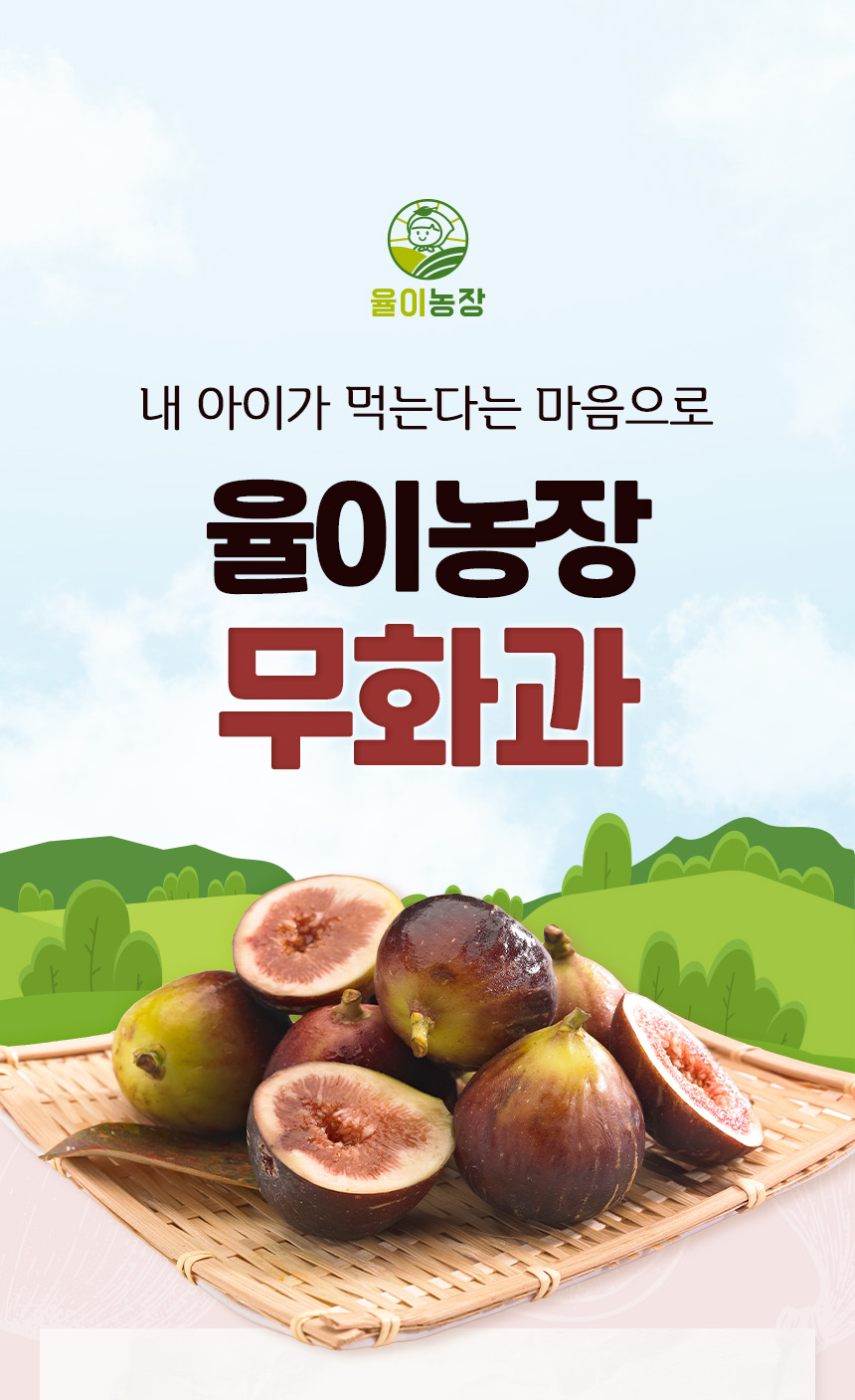 용이농장 무화과 농산물 상세페이지 제작 포트폴리오