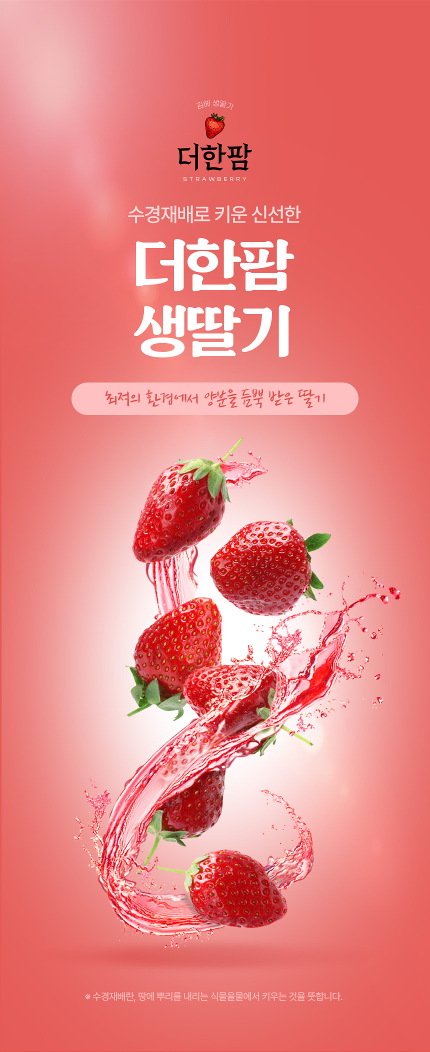 딸기 상세페이지 포트폴리오 | 봄 과일의 싱그러움을 담은 고화질 촬영 디자인