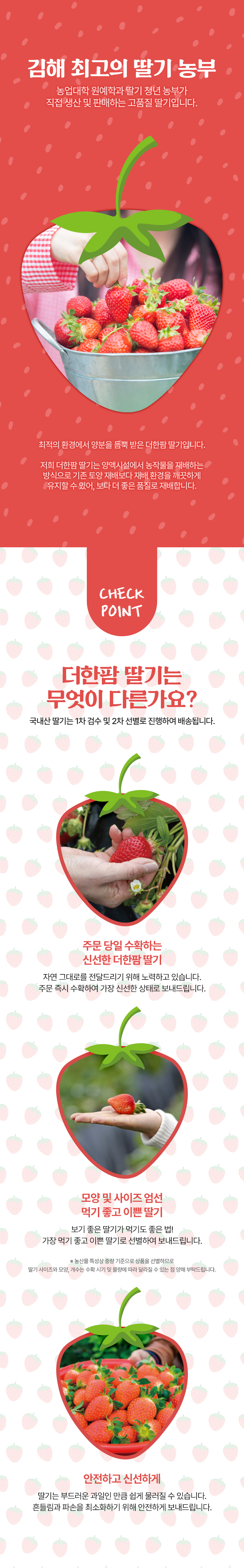 딸기 과일 상세페이지 제작 | 제철 과일 특유의 색감과 신선함을 살린 구성 디자인