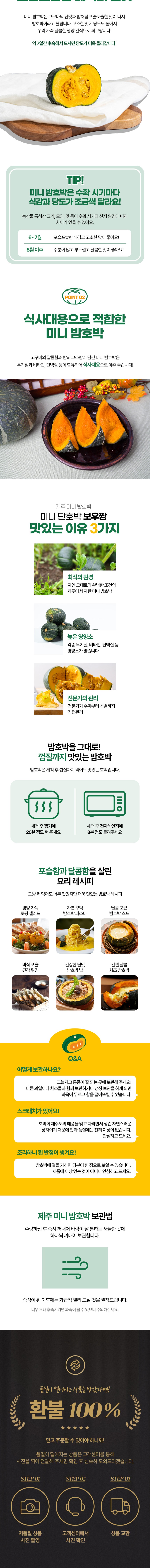 제주 단호박 포트폴리오 | 고당도 밤호박을 강조한 프리미엄 농산물 콘텐츠 디자인