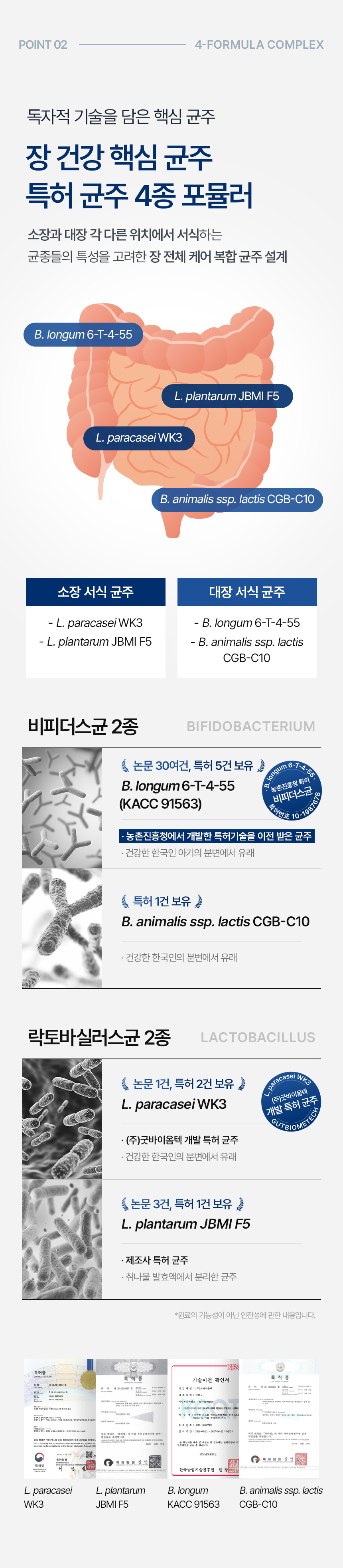 굿락토 B 제품 특징과 섭취 편의성을 정리한 상세페이지 중간 디자인