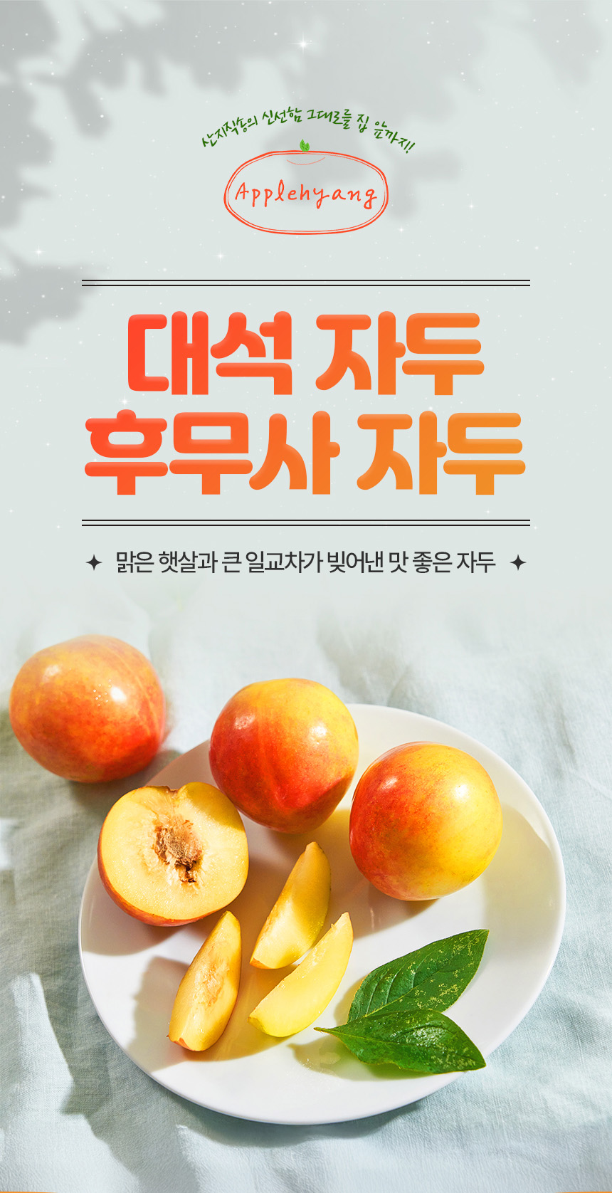 자두 상세페이지 포트폴리오 | 여름 제철 과일의 신선함을 담은 촬영 중심 콘텐츠