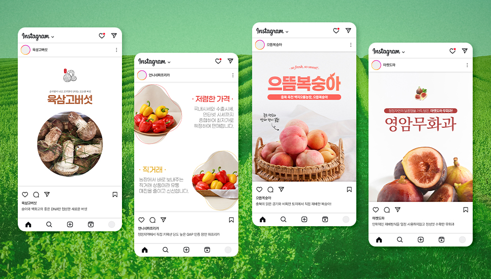 과일 상세페이지 기획공방