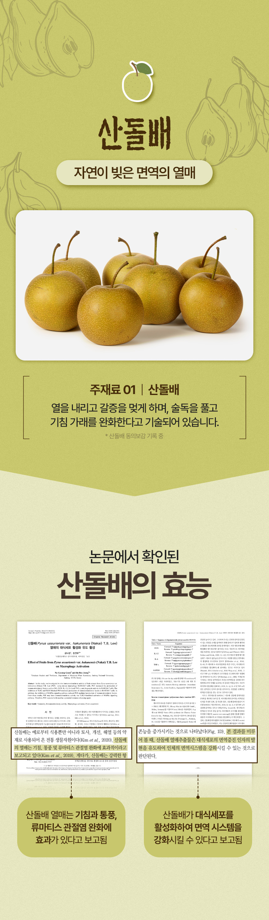 산돌배와 도라지 원료 특징을 문장과 이미지로 정리한 상세페이지 중간 구간