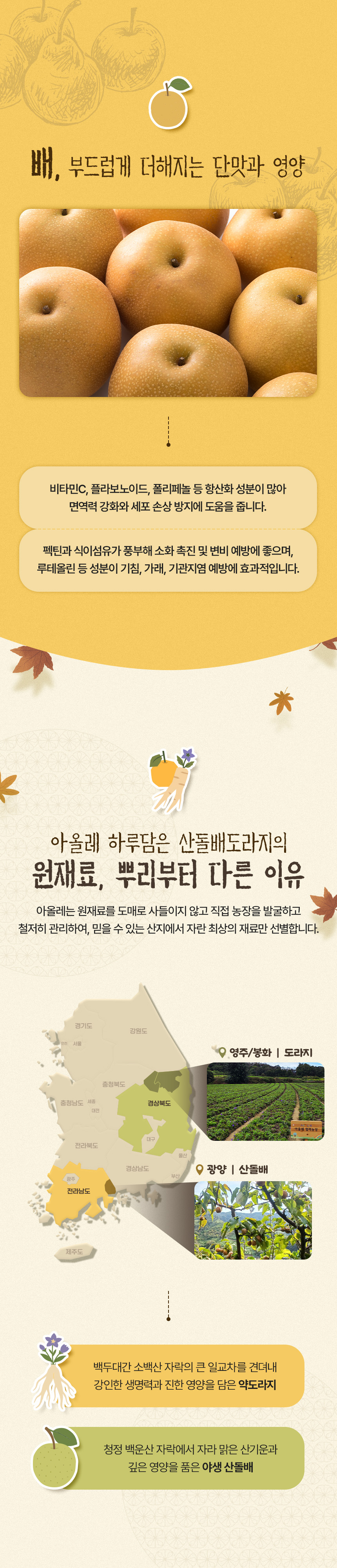 스틱형 제품 패키지와 구매 전 확인 정보를 정리한 상세페이지 하단 구간