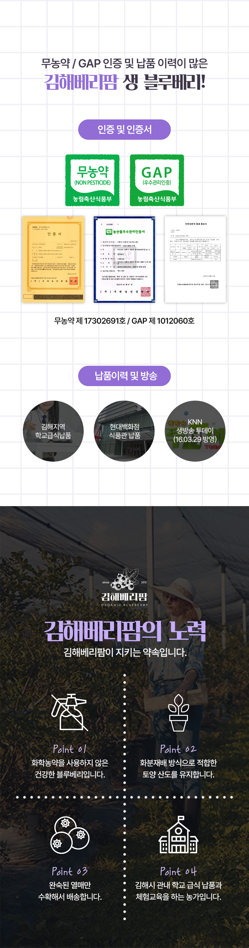 여름 과일 블루베리 상세페이지 | 싱그러움과 건강함을 강조한 포트폴리오 구성