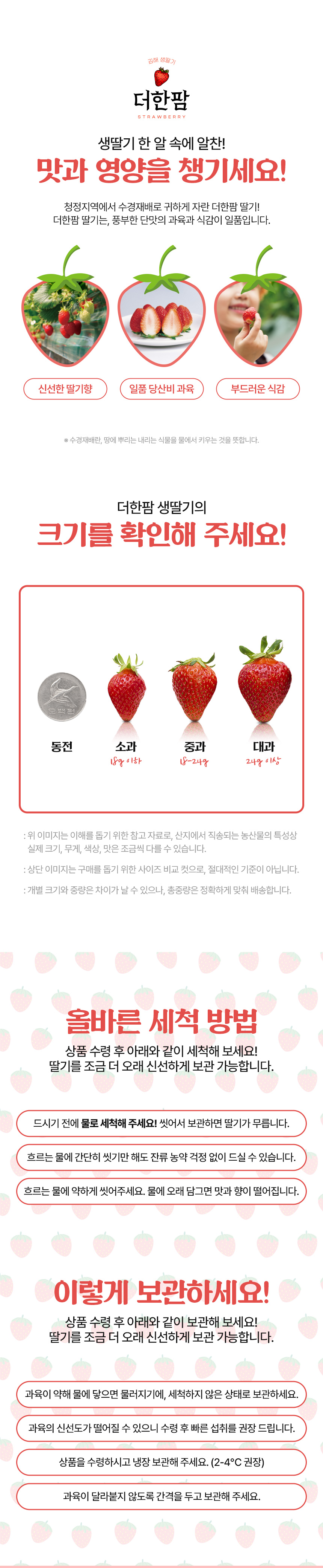 토마토 줄기에 달린 방울토마토를 보여주어 재배 현장을 전달한 상세페이지 구간