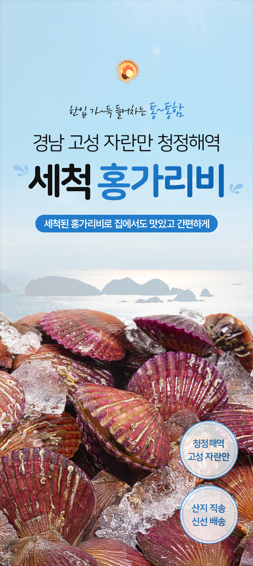 얼음 위 세척 홍가리비 원물 이미지와 제품명을 크게 배치한 상세페이지 상단 디자인