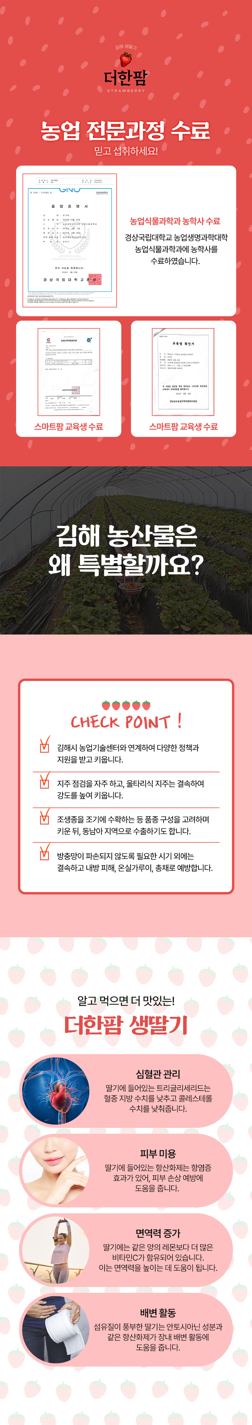 딸기 상세페이지 포트폴리오 | 고급 딸기 선물세트용 촬영 포함 콘텐츠 디자인