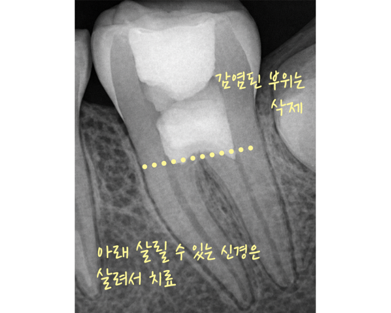 5307ab81aa296.png
