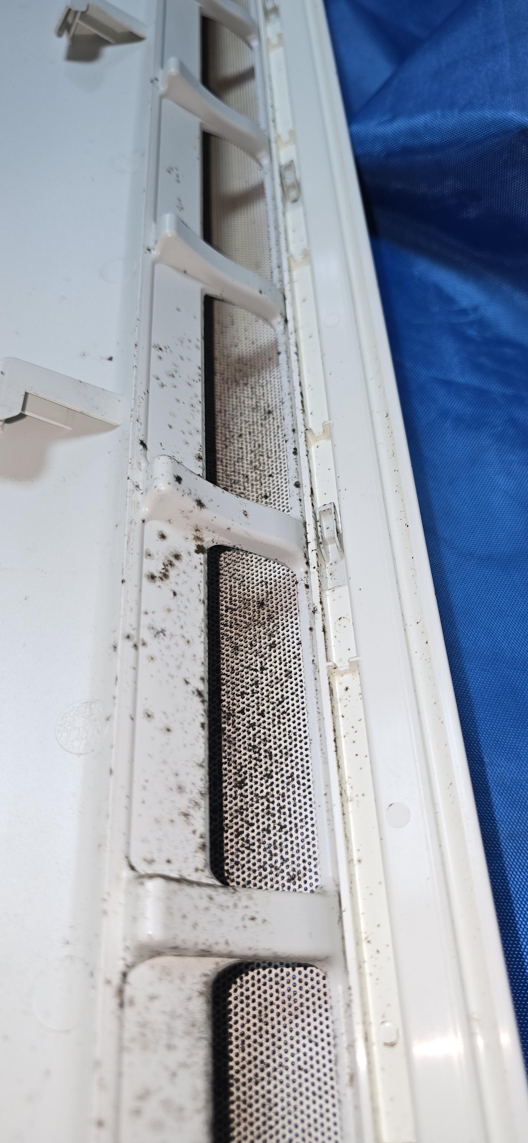 4ae623f736aa6.jpg